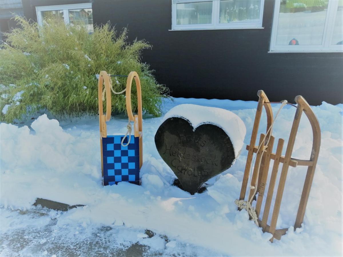 Bergchalet Heidestock Willingen  Exteriör bild