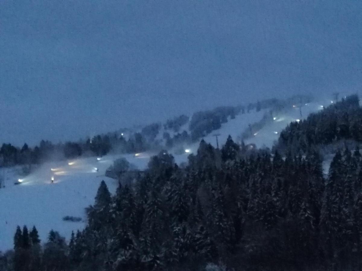 Bergchalet Heidestock Willingen  Exteriör bild