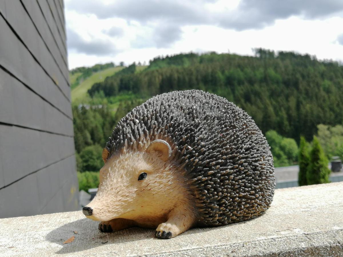 Bergchalet Heidestock Willingen  Exteriör bild