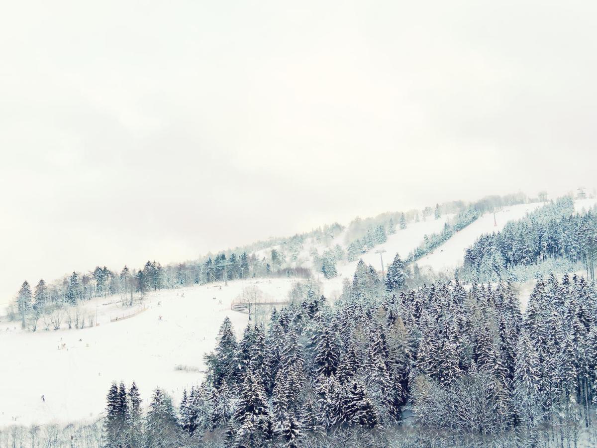 Bergchalet Heidestock Willingen  Exteriör bild