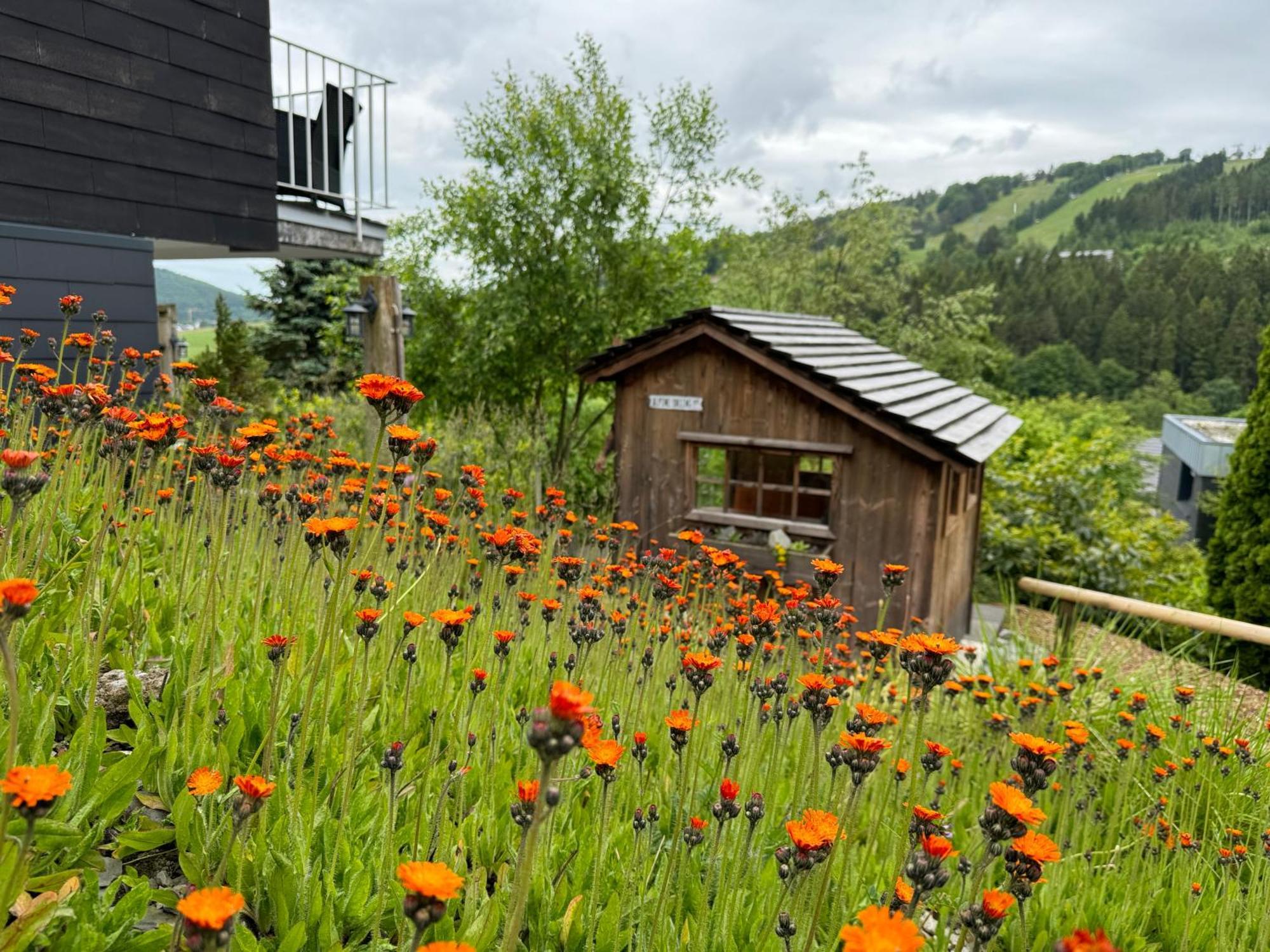 Bergchalet Heidestock Willingen  Exteriör bild